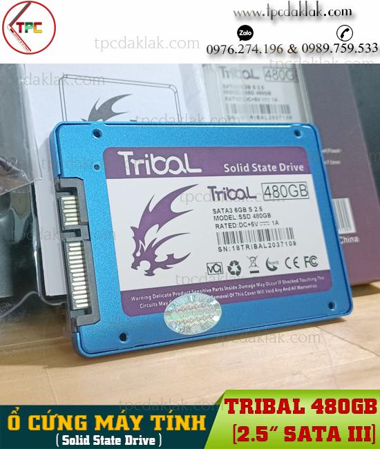 Ổ cứng SSD 2.5" Sata3 480GB TRIBAL SSD 480GB | SSD 480G TRIBAL 2.5 INCH Sata III 6GB/S CHÍNH HÃNG